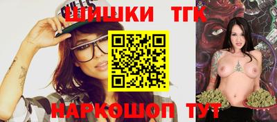 индика Кулебаки
