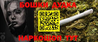 индика Кулебаки