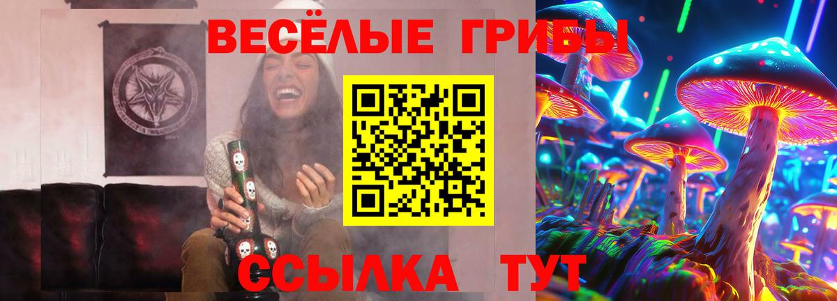 Псилоцибиновые грибы прущие грибы Дзержинск